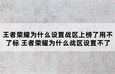 王者荣耀为什么设置战区上榜了用不了标 王者荣耀为什么战区设置不了